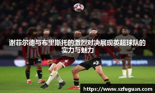 来利国际AG旗舰厅